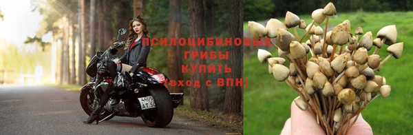 соль курить ск Аркадак